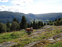 Fra Gunnarsete ser vi hele ruta vi har gått fra Sopandefjellet midt i bildet.