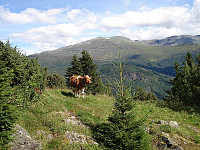 Fra Gunnarsete over mot Ramberatraktene.