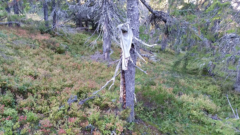T-shorta henger der grå og utvasket.