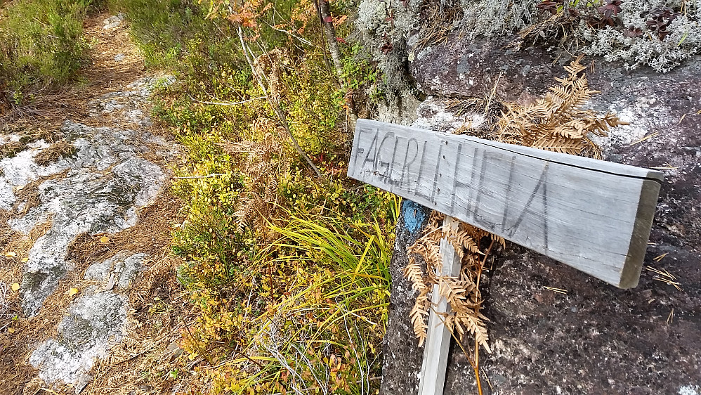 Dette skiltet står nede ved hovedveien, ca 100 meter øst for parkeringslomma. 