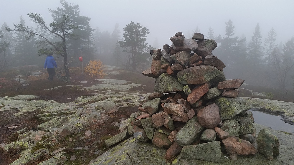Varden på Vestfjellet med postkassa i bakgrunnen.