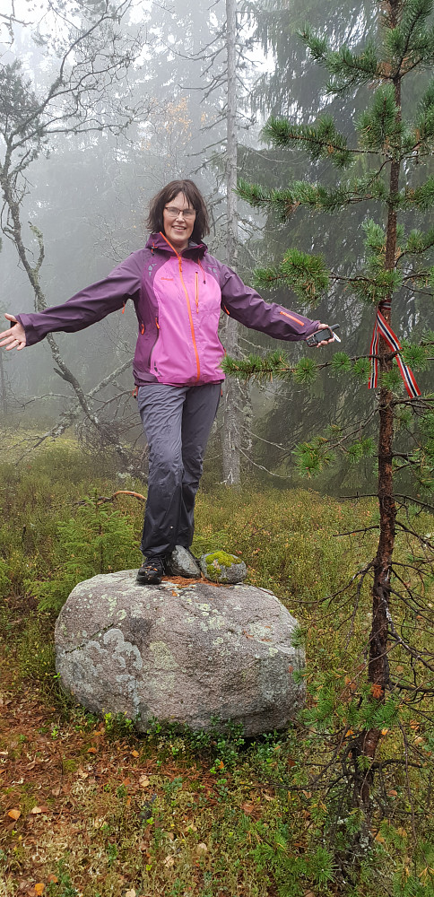 Steinen på toppen av Presteseteråsen, og ei sløyfe som henger i treet. 