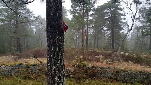 Høgbråten trig punkt. Kartverkets punkt. 
