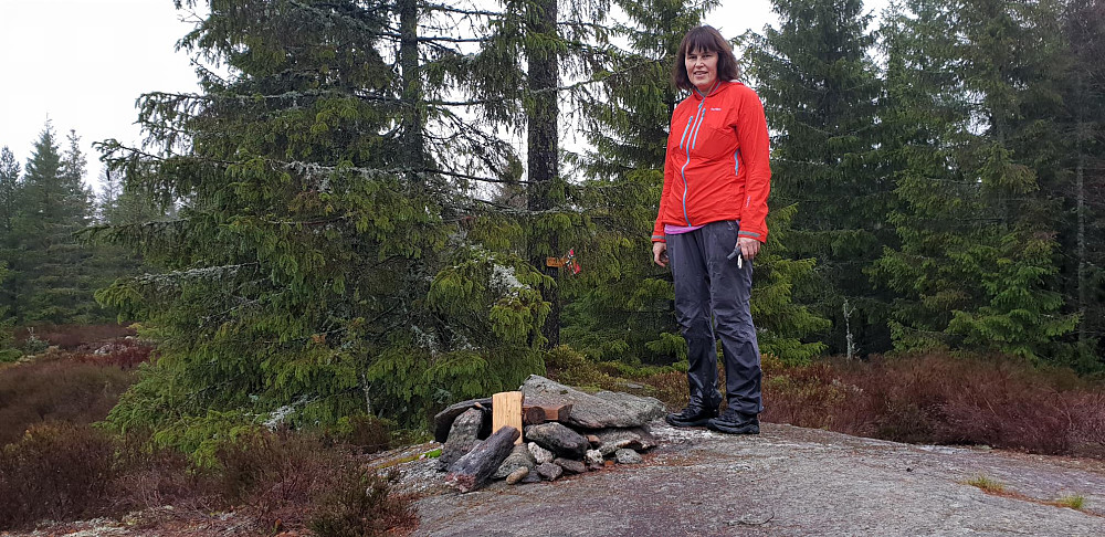 Høgbråten. Topp med flagg i treet bak.