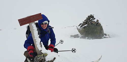 Himmelkampen høyeste topp. Kommunetoppen til Åmot er litt lenger ned. Fant ikke noen klar markering av kommunetoppen. Kanskje under snøen?