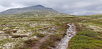 BeHe_20190719_5d31d2c68adae.jpg