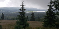 BeHe_20190721_5d34861e8691a.jpg