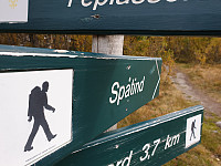BeHe_20200911_5f5b557e89a88.jpg