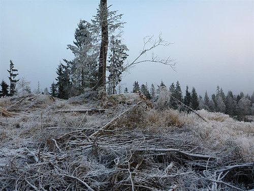 Ullensaker høyeste