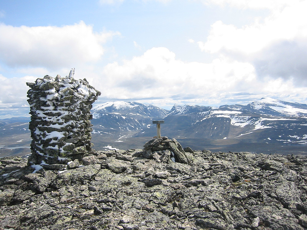 Toppvarden