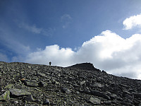 imp0z_20150714_55a55689e4c5c.jpg