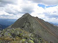 imp0z_20150805_55c2486f993c7.jpg