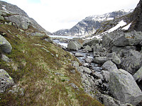 imp0z_img_0156.jpg