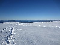 imp0z_img_0712.jpg