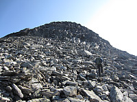 imp0z_img_1177.jpg