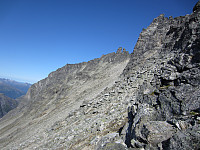 imp0z_img_1196.jpg
