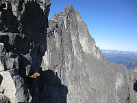 imp0z_img_1201.jpg