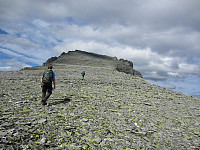 imp0z_img_1249.jpg