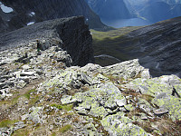 imp0z_img_1259.jpg