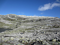imp0z_img_1307.jpg