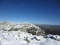 imp0z_img_1308.jpg