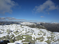imp0z_img_1311.jpg