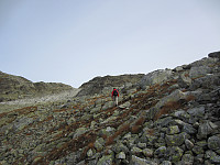 imp0z_img_1317.jpg