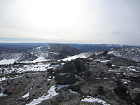 imp0z_img_1319.jpg