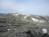imp0z_img_1325.jpg