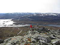 imp0z_img_1330.jpg