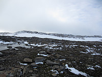 imp0z_img_1341.jpg