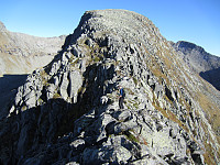 imp0z_img_1356.jpg