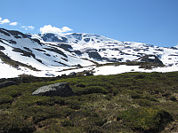 imp0z_img_1431.jpg