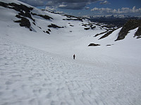 imp0z_img_1438.jpg