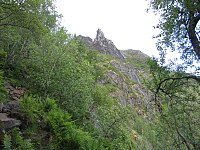 imp0z_img_1547.jpg
