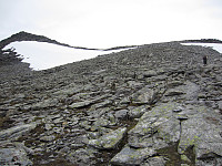 imp0z_img_1598.jpg
