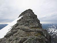 imp0z_img_1599.jpg