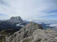imp0z_img_1771.jpg