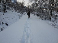 imp0z_img_1930.jpg