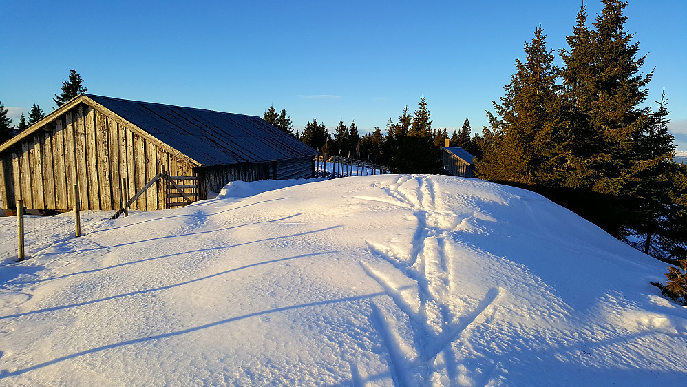 Rindåsen