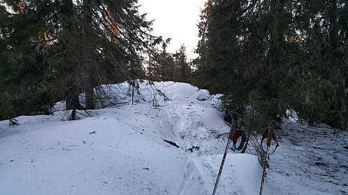 Kinnkjølen