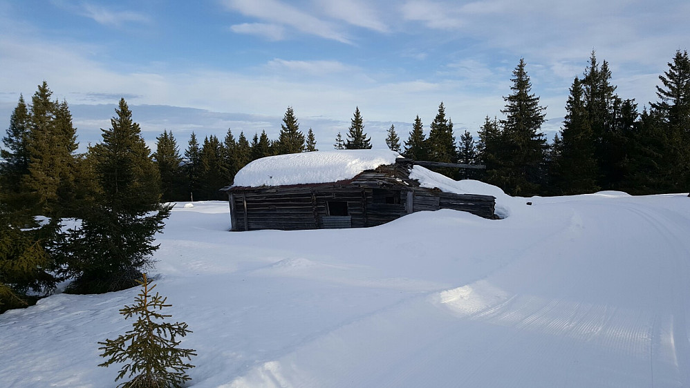 Førsteinntrykket av Stølan, det gamle fjøset på Tollersrudsetra. Ei ny hytte er satt opp litt nedenfor dette