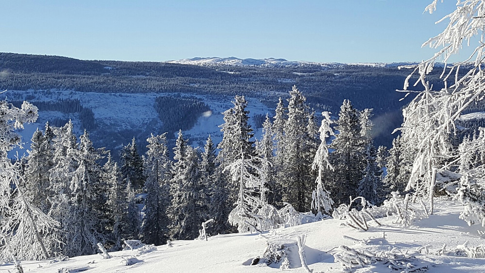 Fra Finsrudbekkhøgda mot Skjelbreidsfjellet.