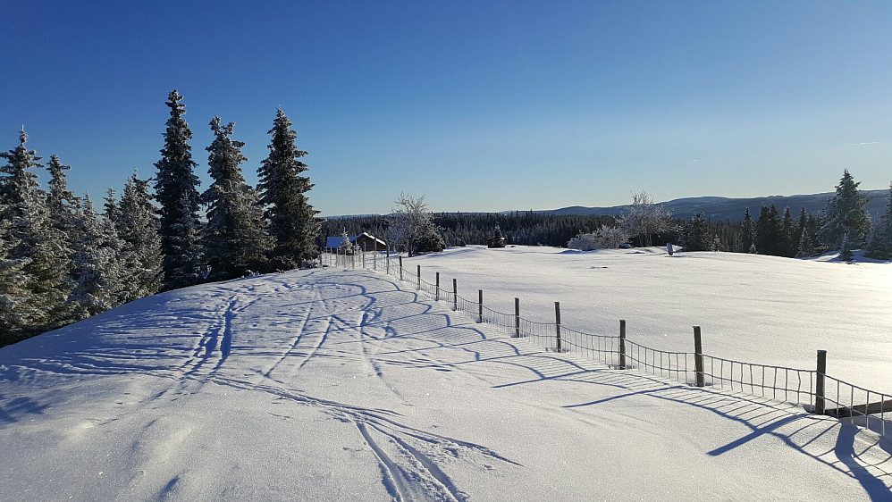 På Rindåsen