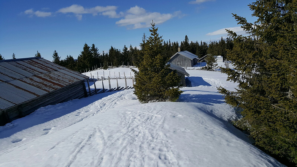 Rindåsen