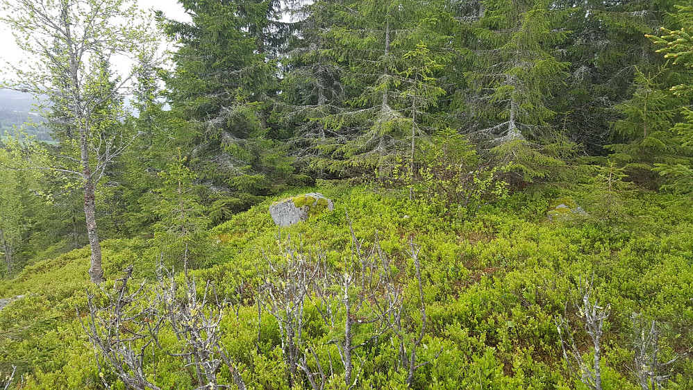 Høgdahøgda