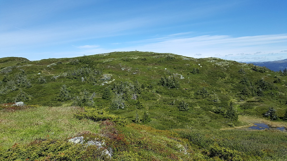 Utsikt fra Skjenafjellets sørtopp mot Skjenafjellet