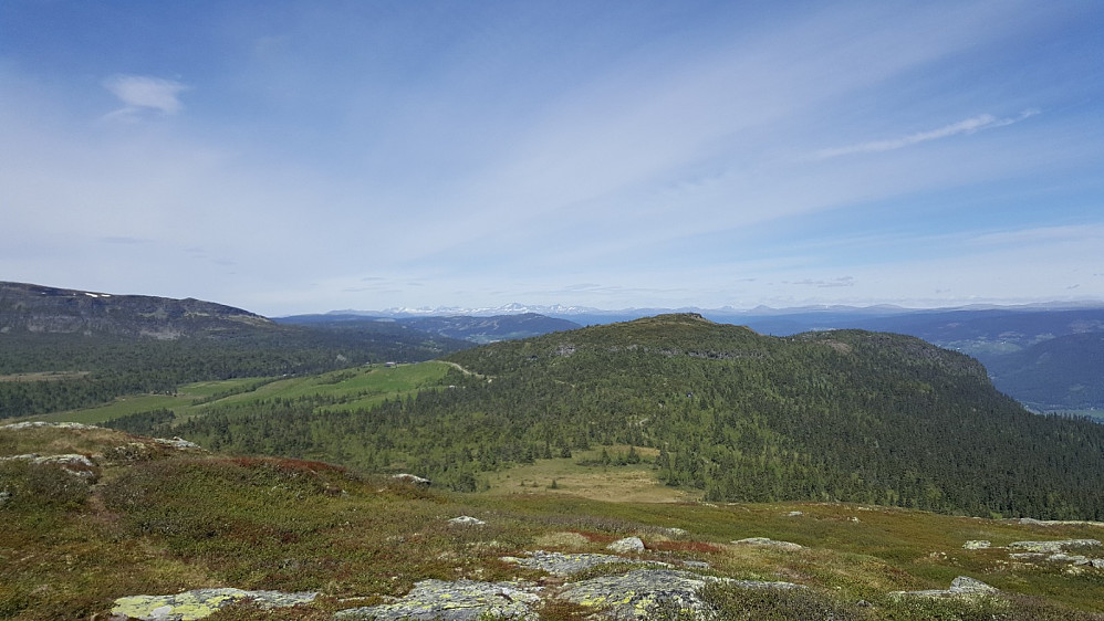 Fra Skjenafjellet mot Lindvikskampen, med Rondane i det fjerne