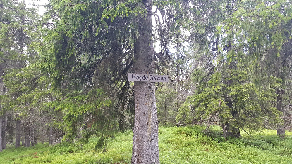 Storseterhøgda