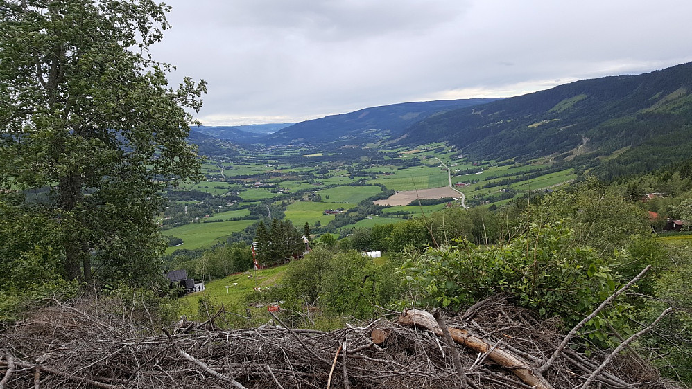Utsikt over Østre Gausdal fra rett opp for Brathovde